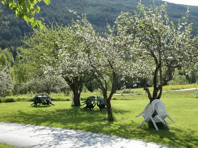 a group of trees in a field with flowers at Smedsgården Hotel in Nesbyen