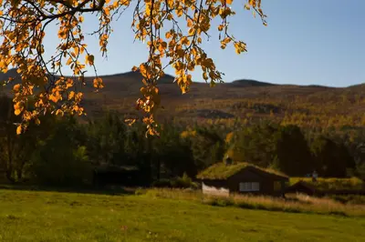 a barn in the middle of a field with a tree at Øigardseter Fjellstue in Høvringen