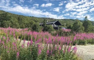 a field of pink flowers in front of a house at Beautiful Home In Vøringsfoss With Wifi in Maurset