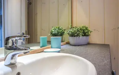 a bathroom sink with two potted plants in front of a mirror at Nice Home In Lillehammer With Sauna in Lillehammer