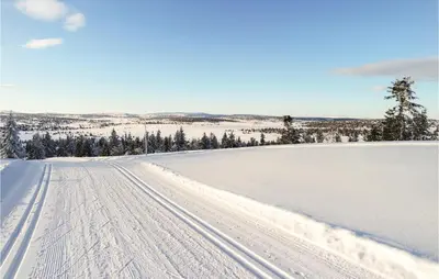 a snow covered field with tracks in the snow at Nice Home In Lillehammer With Sauna in Lillehammer