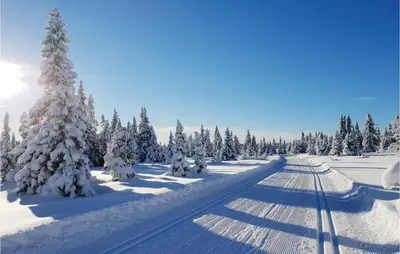 a snow covered road with trees on the side of it at Amazing Home In Sjusjøen With Sauna in Sjusjøen