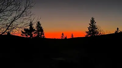 a sunset on top of a hill with trees at Bjerkely, Sjusjøen in Sjusjøen