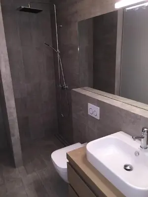 a bathroom with a shower and a sink and a toilet at Knudsen Apartment in Bergen