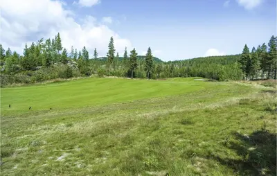 a large green field with trees in the background at Lovely Home In Hemsedal With Sauna in Hemsedal