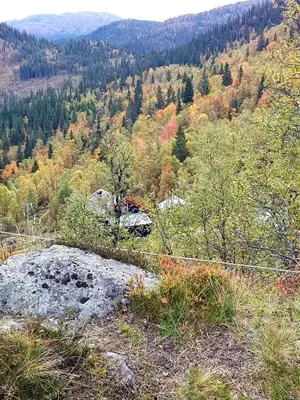 a view of a hill with trees in the background at Leilighet i Åmotsdal in Åmotsdal