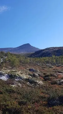 a field with a hill in the distance with trees at Bakken Gårdshus in Rendalen