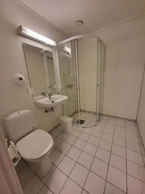 a bathroom with a toilet and a shower and a sink at Strand Fjordhotel in Ulvik