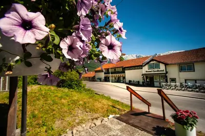 a bunch of purple flowers hanging from a tree at Strand Fjordhotel in Ulvik