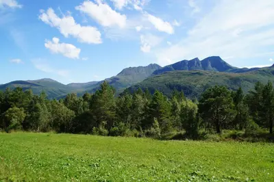 a green field with trees and mountains in the background at Family Room in Modern House in Eide