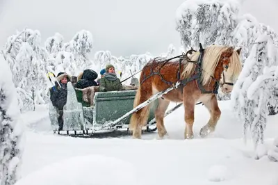 a group of people riding in a horse drawn sleigh in the snow at Venabu Fjellhotell in Venabygd