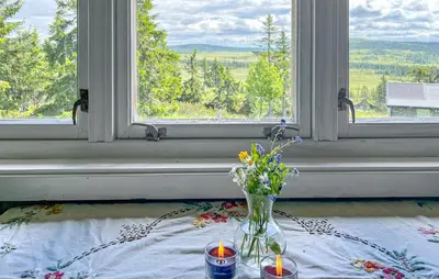 a vase of flowers sitting on a table in front of a window at Three-Bedroom Holiday Home In Sjusjoen in Sjusjøen