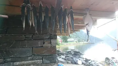 a stone wall with a bunch of shoes hanging from it at Bazyl Apartment in Folkedal