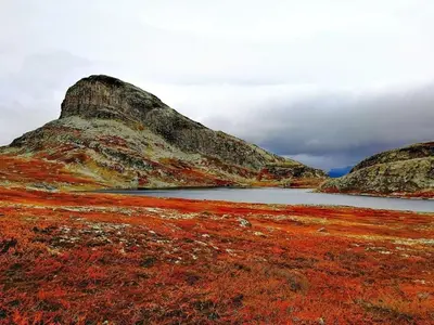 a mountain with a lake in the middle of a field at Fresh Familie Hytte Hemsedal with Outdoor Sauna in Hemsedal