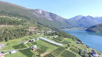 an aerial view of a vineyard next to a lake at Solheim Gard in Stryn