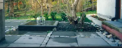 a garden with a tree and a water fountain at Hardanger Feriesenter Nesvika in Norheimsund