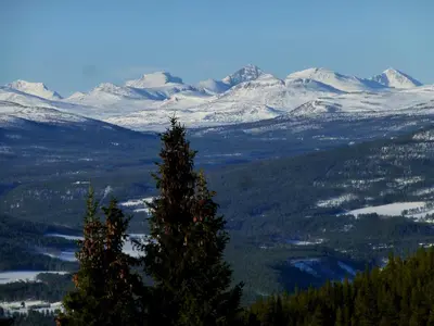 a view of a snow covered mountain range with a tree at Tronsvangen Seter in Alvdal