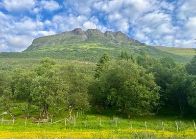 a mountain in the distance with trees and a fence at Awesome Fishing, Boating and Nature Experience at Fiskesenter Birkeland in Rekdal