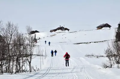 a group of people skiing down a snow covered slope at Havsdalsgrenda Geilo Apartments in Geilo