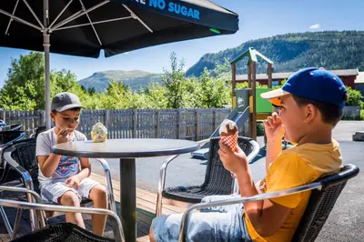two young men sitting at a table with a laptop at Frich's Hotell og Spiseri Alvdal in Alvdal