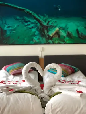 two swans making a heart on a bed at Havila Hotel Ivar Aasen in Ørsta