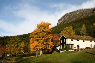 a house on a hill with a tree at HI Sjoa in Otta