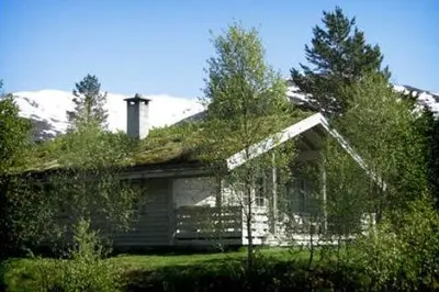a house with a grass roof on top of it at Jølsterlia Hyttetun in Årdal