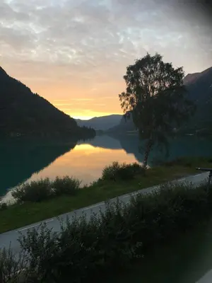 a tree on the side of a road next to a lake at Sunde panorama in Olden