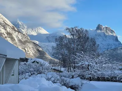a snow covered mountain with a house and trees at Åndalsnes gustehouse in Åndalsnes