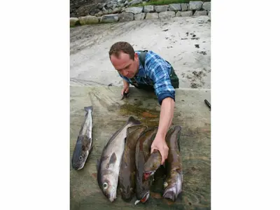 a man is holding a bunch of fish at 6 person holiday home in Åram-By Traum in Sandvik