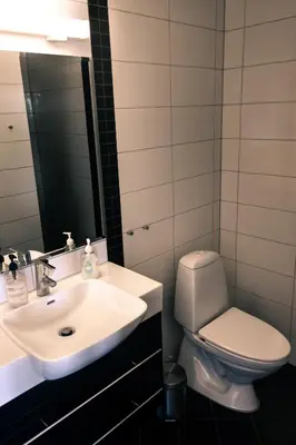 a bathroom with a sink and a toilet and a mirror at Storestølen Fjellhotell in Hovet