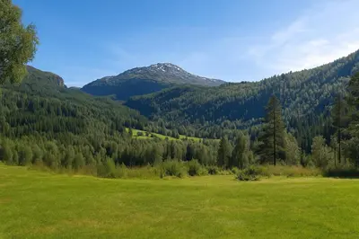 a green field with a mountain in the background at Voss Lodge Rongastovo in Vossevangen