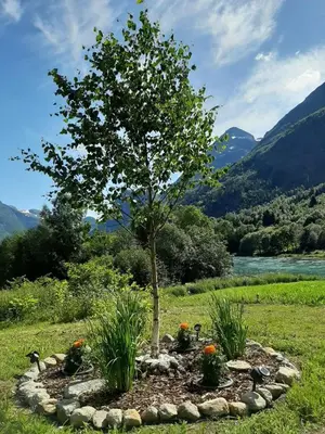 a tree in a stone circle with flowers in it at Naustvoll in Olden