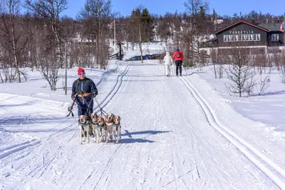 a man and two dogs walking down a snow covered road at Torsetlia Cottages and Apartments in Uvdal