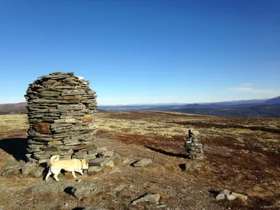a dog standing next to a stone tower on a hill at Ivaregga Vinterstua in Tolga