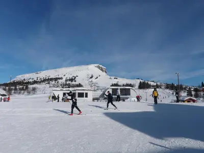 a group of people on skis in the snow at Skei Apartments in Svingvoll
