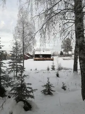 a snow covered yard with a house in the background at Presterudveien 125 in Vikersund