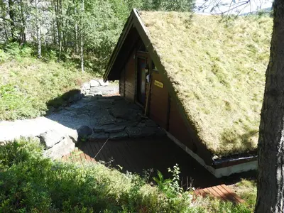 a small building with a grass roof with a pathway at Naustloftet in Hornindal