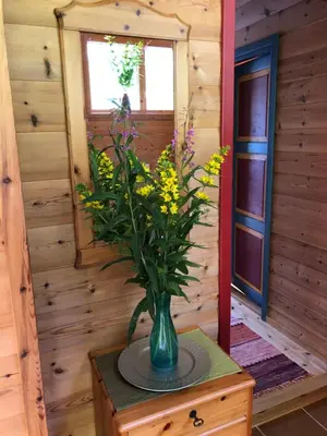 a vase with flowers on a table in a room at Naustloftet in Hornindal