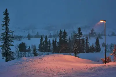 a light pole in a snowy field with trees at Kvitåvatn Fjellstue in Gaustablikk
