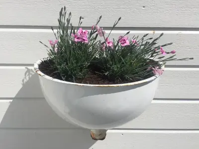 a white planter with pink flowers in it at Finnøya with 180* Atlantic veiw in Finnøy