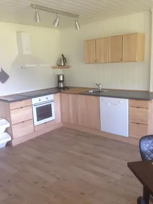 a kitchen with wooden cabinets and a white appliance at Malenes Ferieleiligheter in Rauland