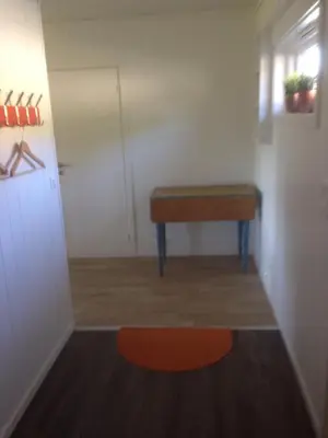a room with a table and a red rug at Malenes Ferieleiligheter in Rauland