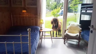 a bedroom with a horse standing outside a window at Drengestua på Flagstad Østre in Hamar