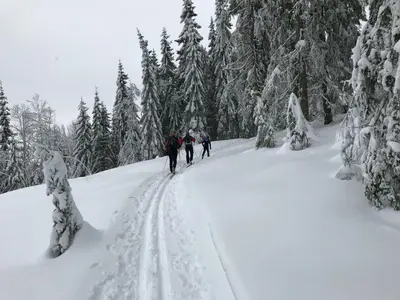 three people cross country skiing through a snow covered forest at Charming Lakeside House with sauna in Lillehammer