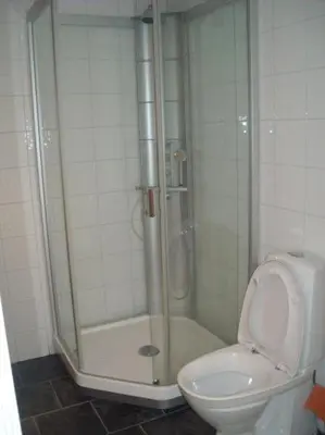 a bathroom with a shower and a toilet at Røldal Overnatting in Røldal