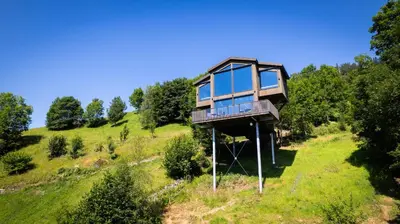 a tree house on top of a grassy hill at Hardanger Panorama Lodge in Ulvik