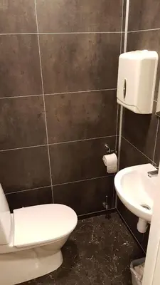 a bathroom with a toilet and a sink at Gudvangen Budget Hotel in Gudvangen