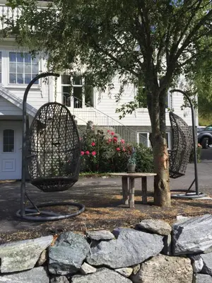 a park with a bench and a tree at Josygaard in Austefjorden