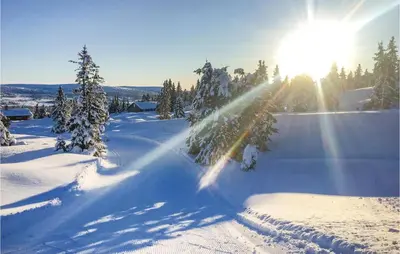 a skier is skiing down a snow covered slope at Three-Bedroom Holiday Home In Sjusjoen in Sjusjøen